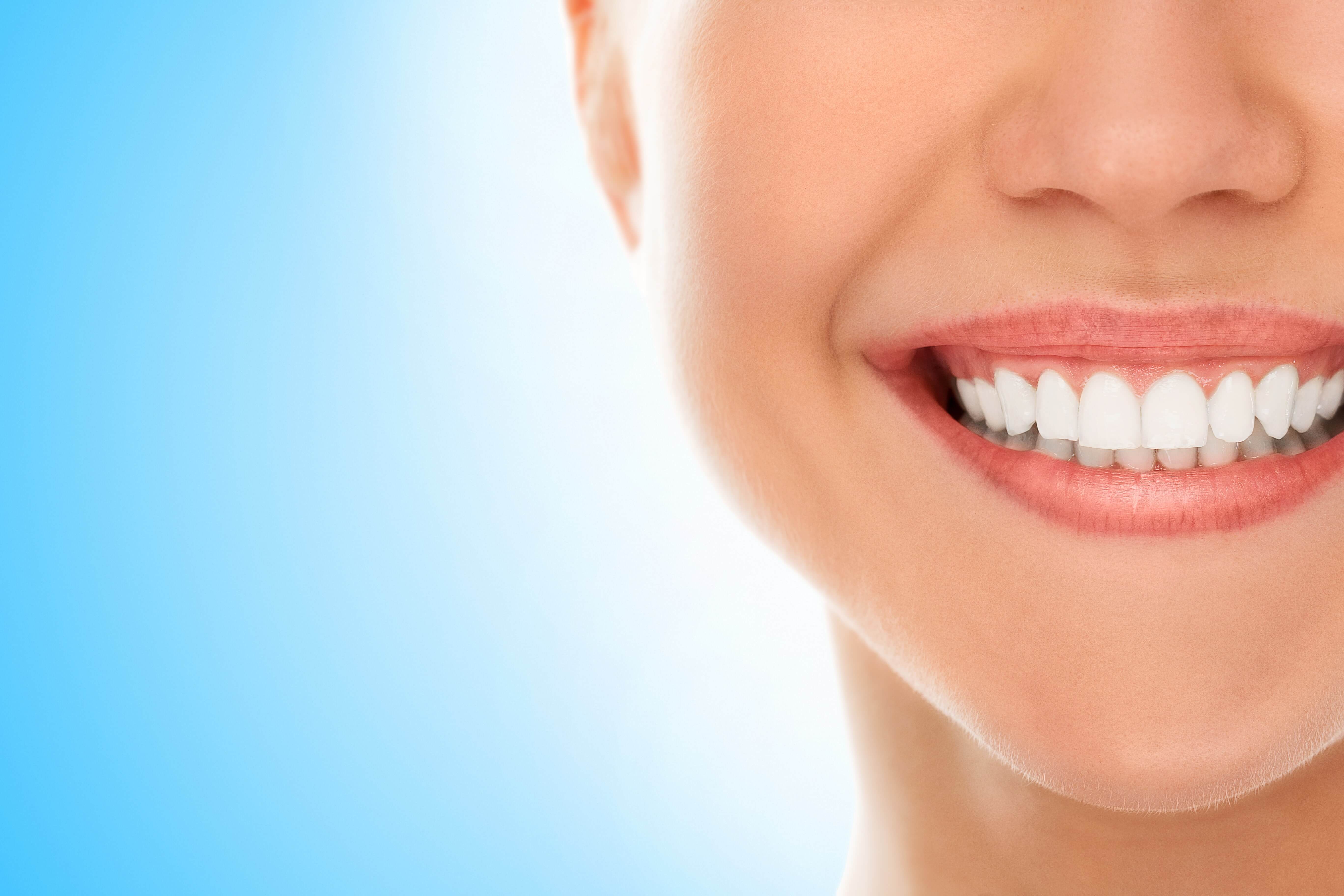 Dentist Theme2